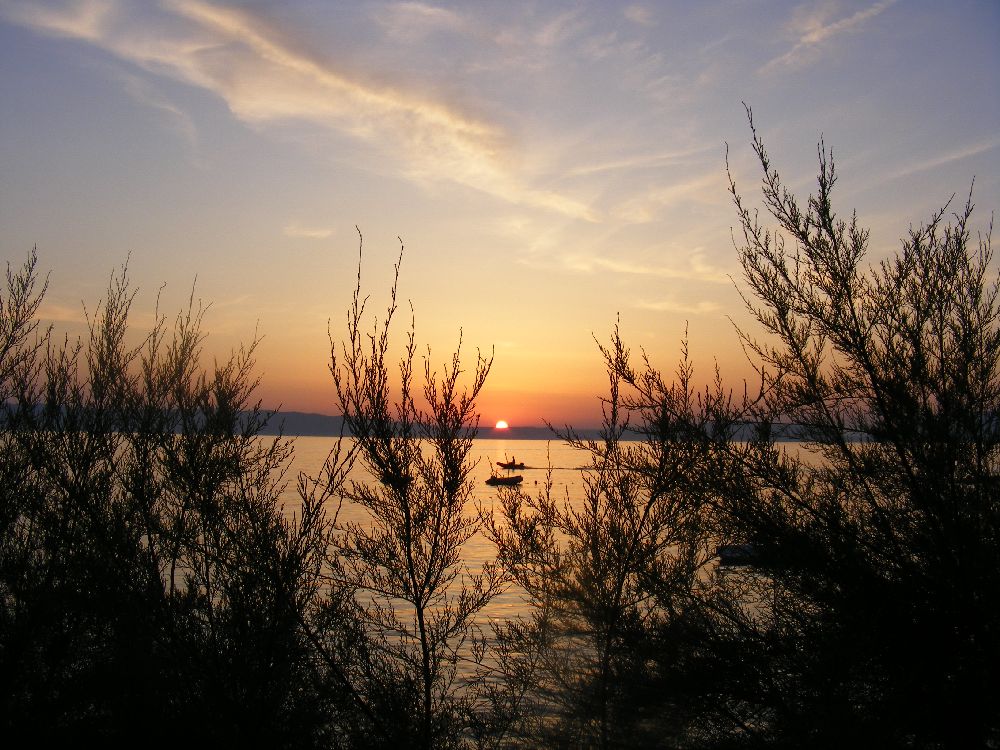 Impressionen des Camps