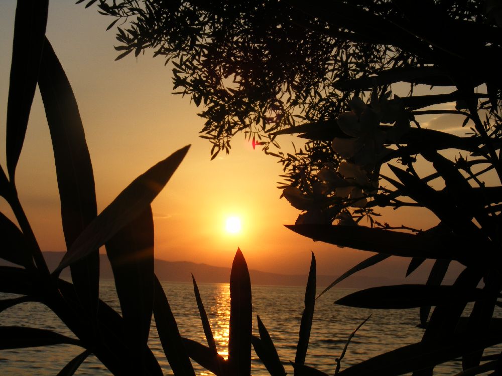 Impressionen des Camps