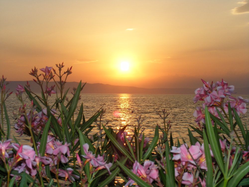 Impressionen des Camps